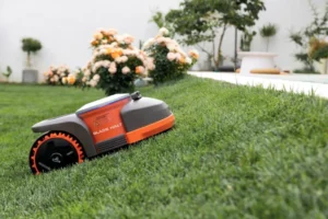Top Robotic Lawn Mower Features to Look for Before You Buy